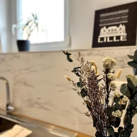 Cosy Renovated In - Wazemmes 아파트 릴